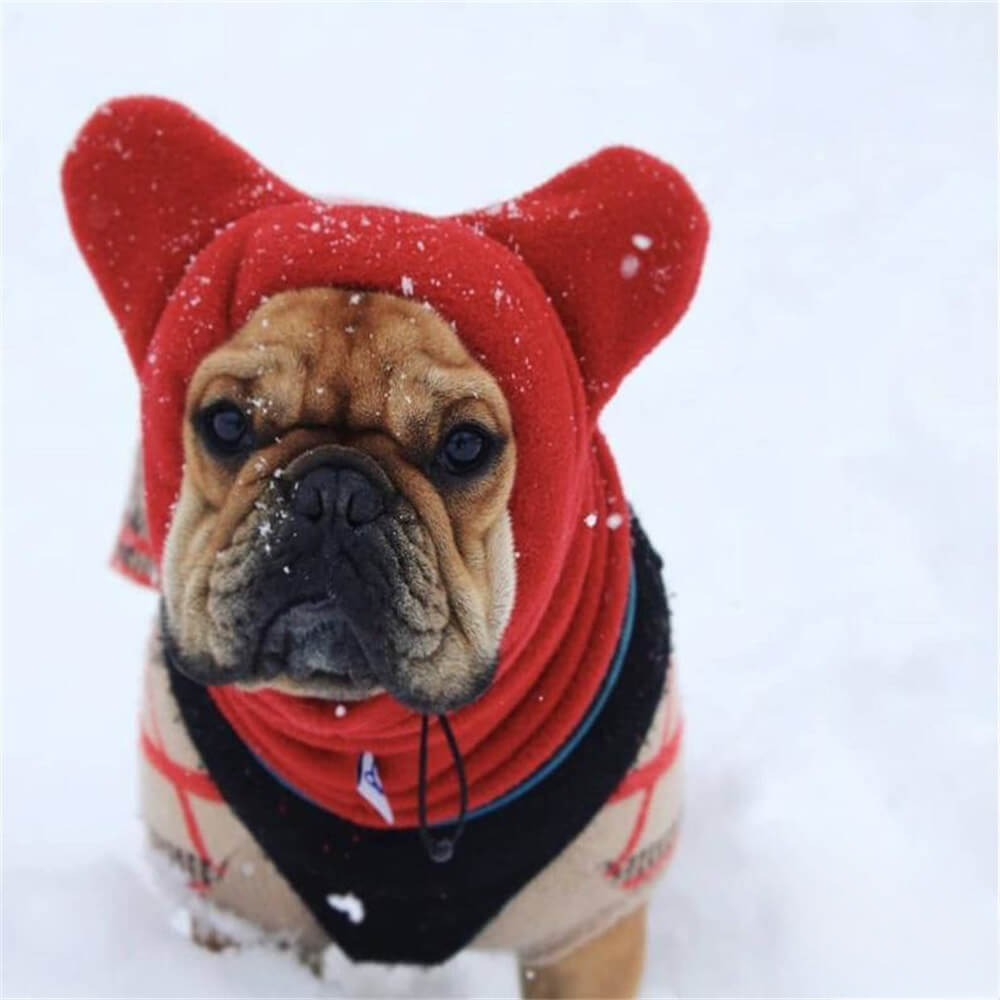 Capuz de lã para cachorro com orelhas de urso – chapéu de inverno divertido e aconchegante