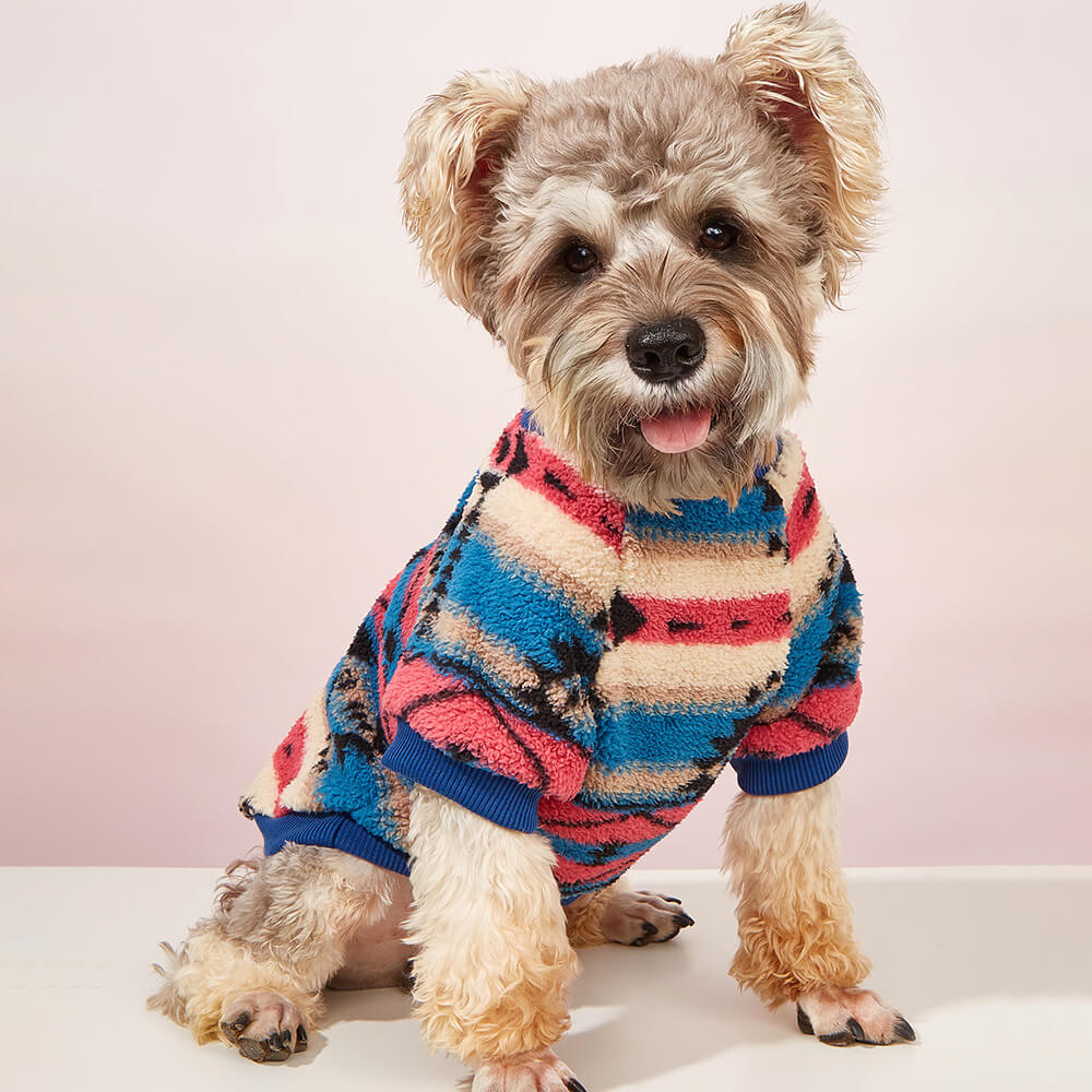 Suéter listrado colorido para cachorro - Roupa de inverno aconchegante e moderna