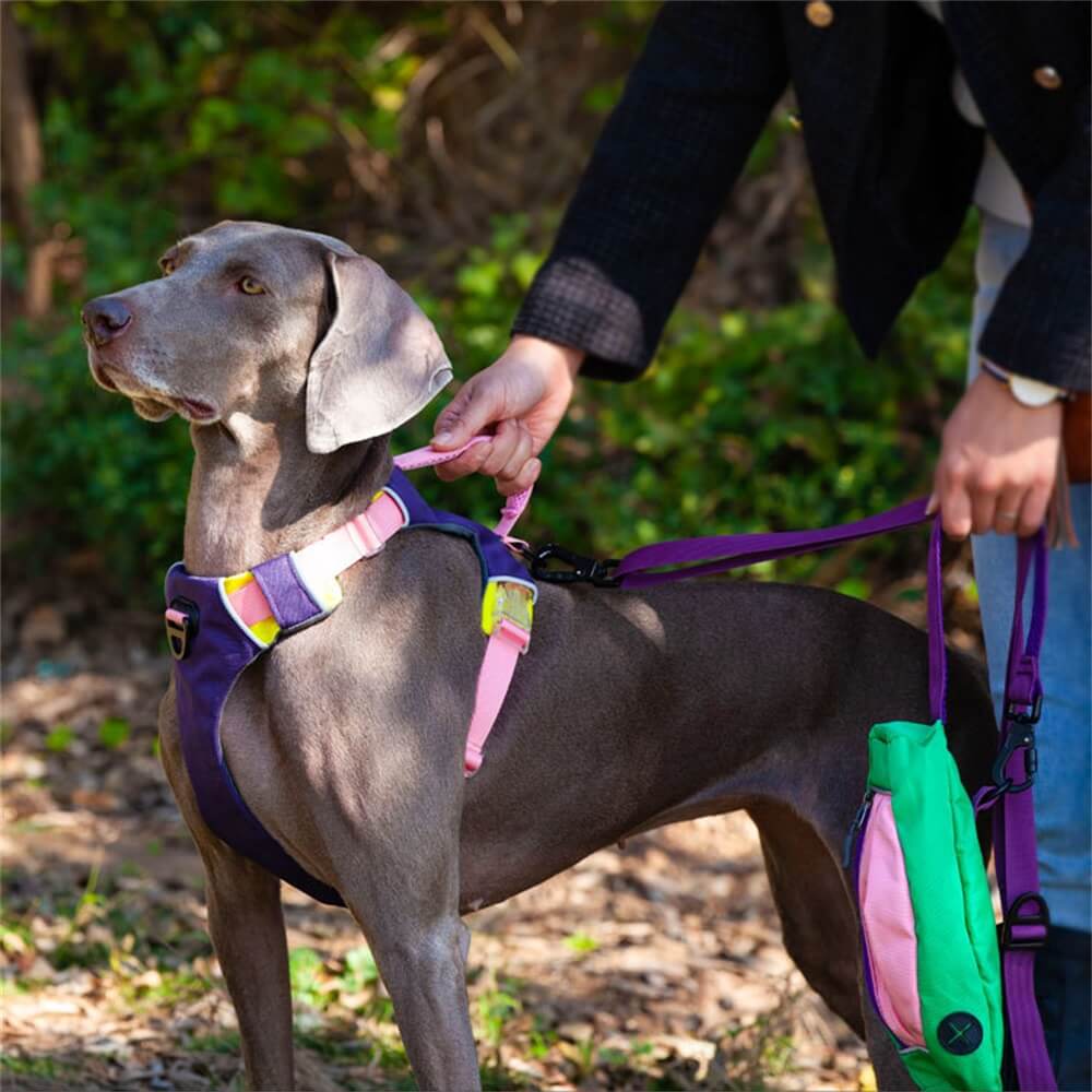 Arnês de peito de cor contrastante para animais de estimação e corda de tração para cães - estilo colete à prova de explosão