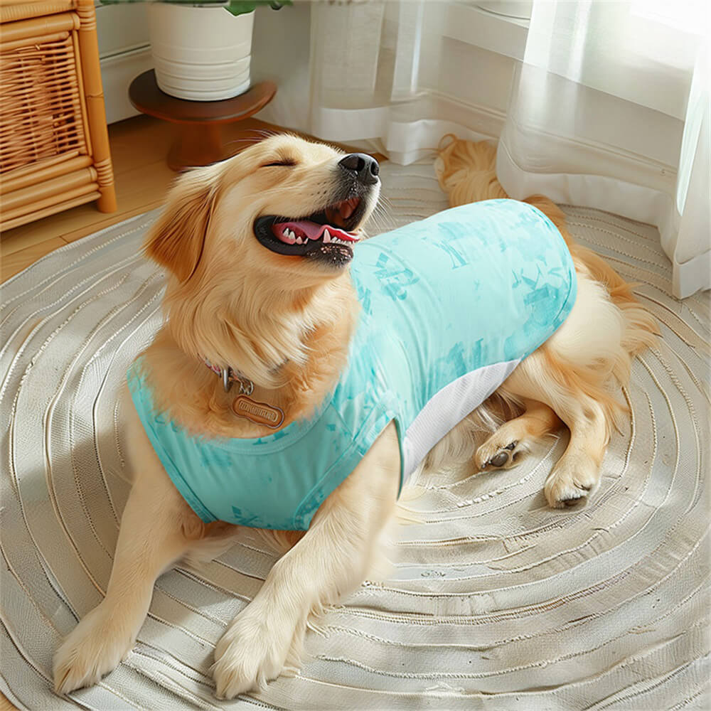 Colete de resfriamento de verão para cachorro grande – seda gelada fina, roupa esportiva leve e respirável