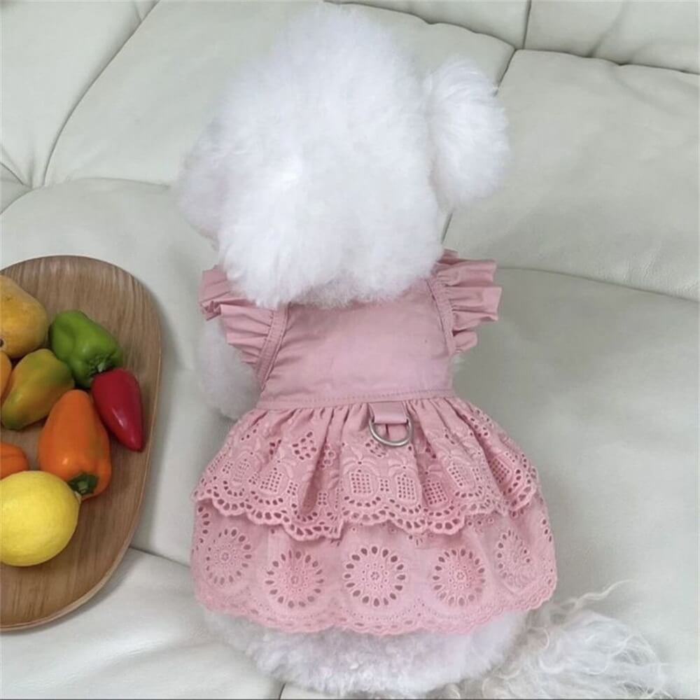 Vestido estiloso de renda azul e rosa para cachorro - perfeito para ocasiões especiais