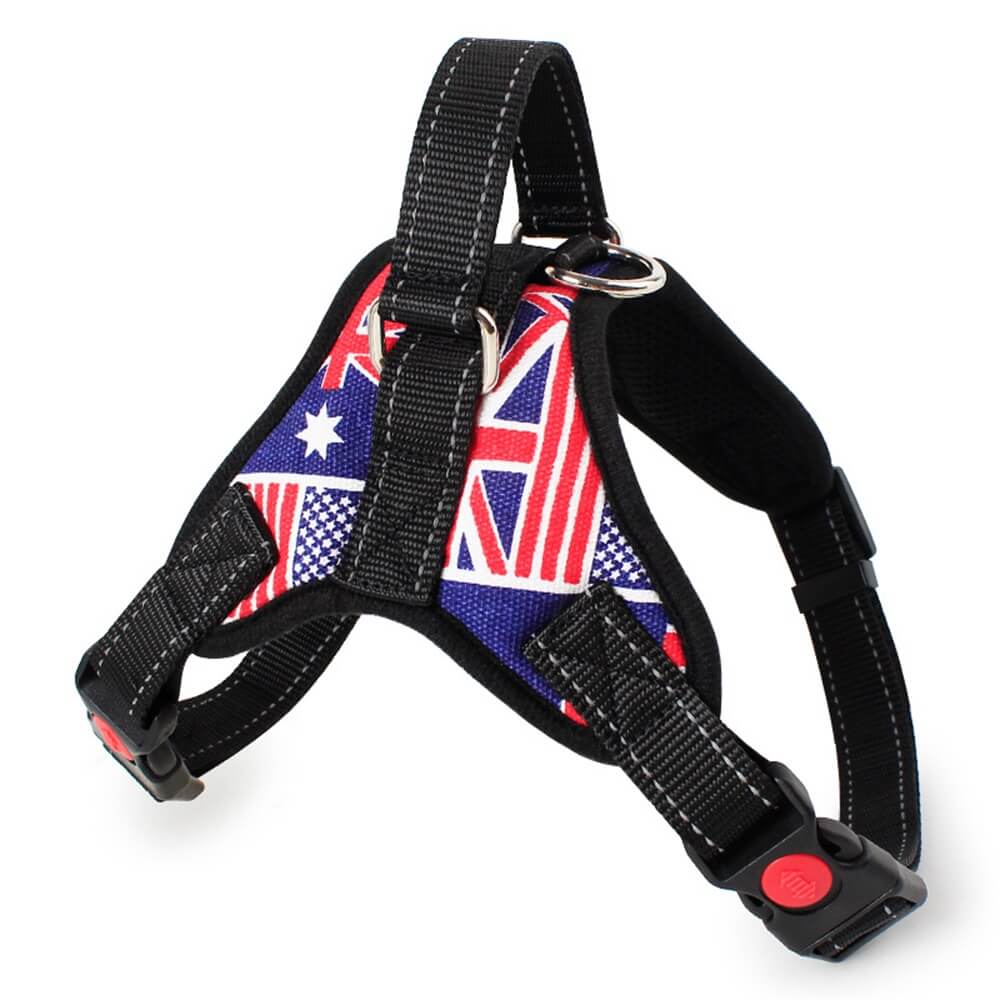 Union Jack Dog Harness com corda de tração – Equipamento de caminhada elegante e funcional