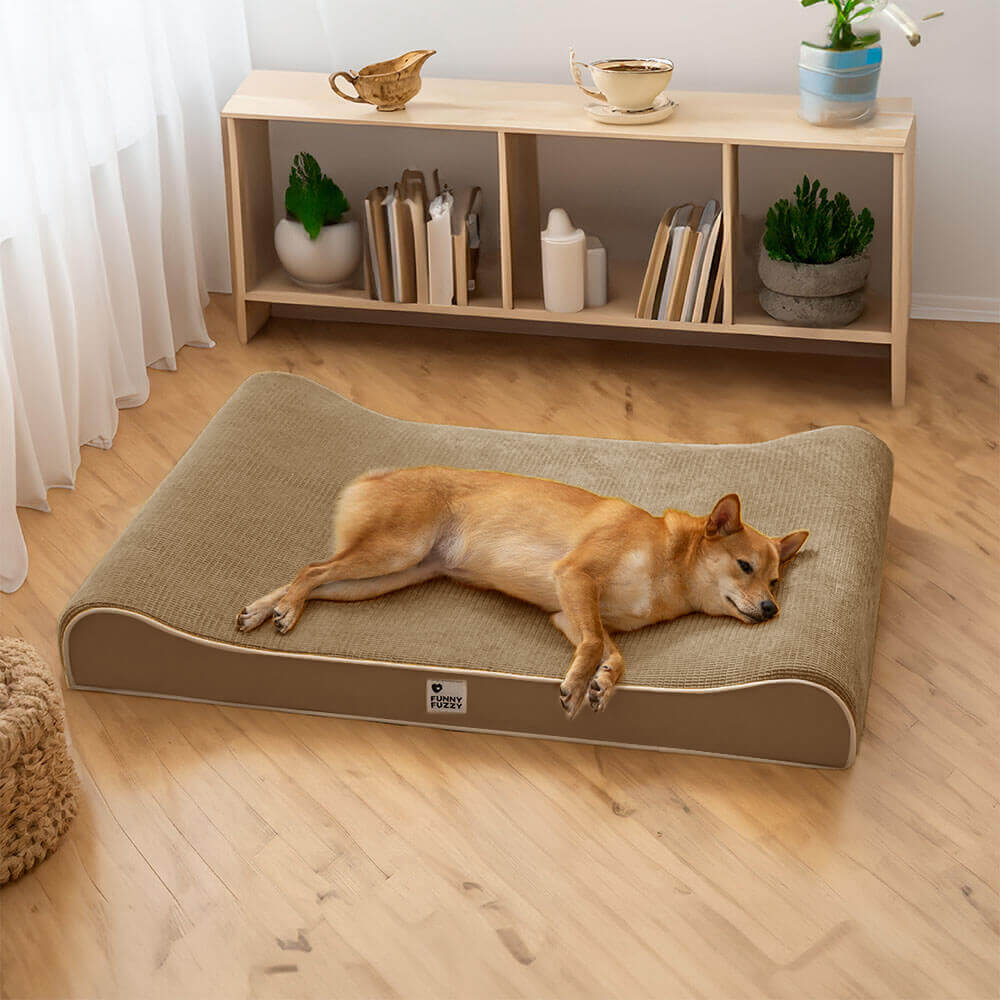 Espreguiçadeira Luxuosa para Cães Cama Ortopédica Nobre para Cães