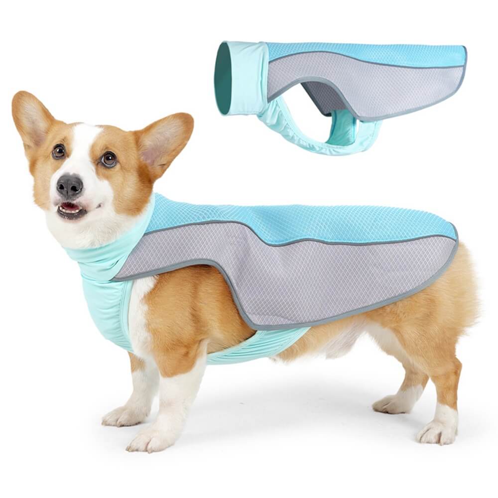 Roupas para animais de estimação Proteção contra o calor do verão para cães - Roupas lce Cool para cães