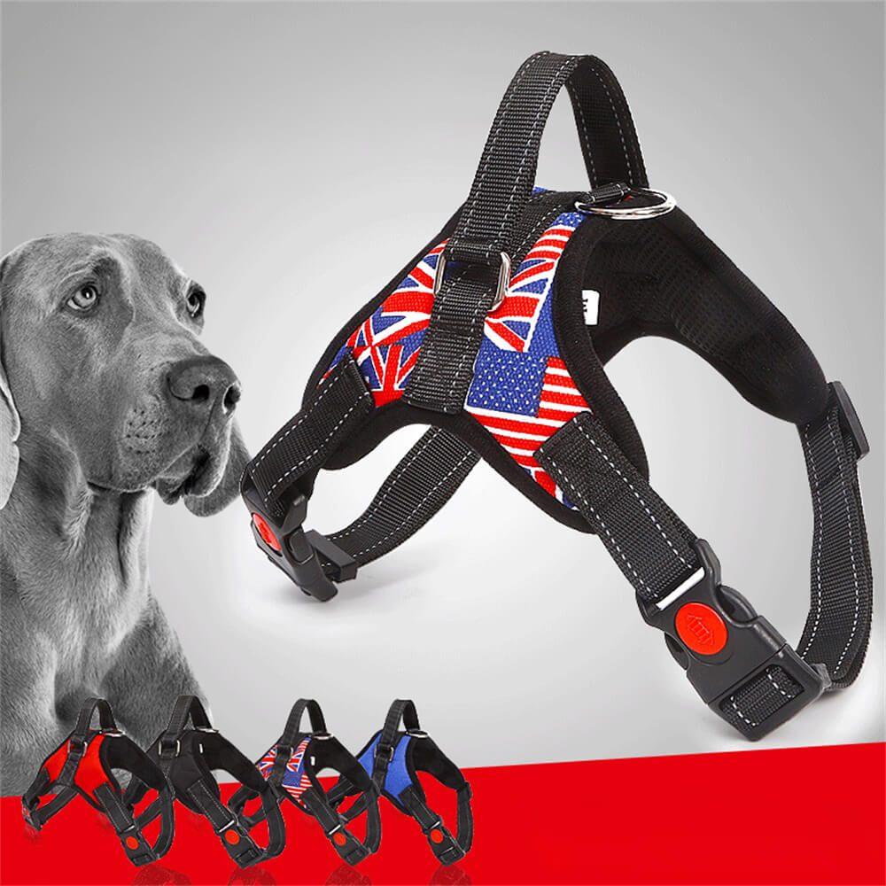 Union Jack Dog Harness com corda de tração – Equipamento de caminhada elegante e funcional