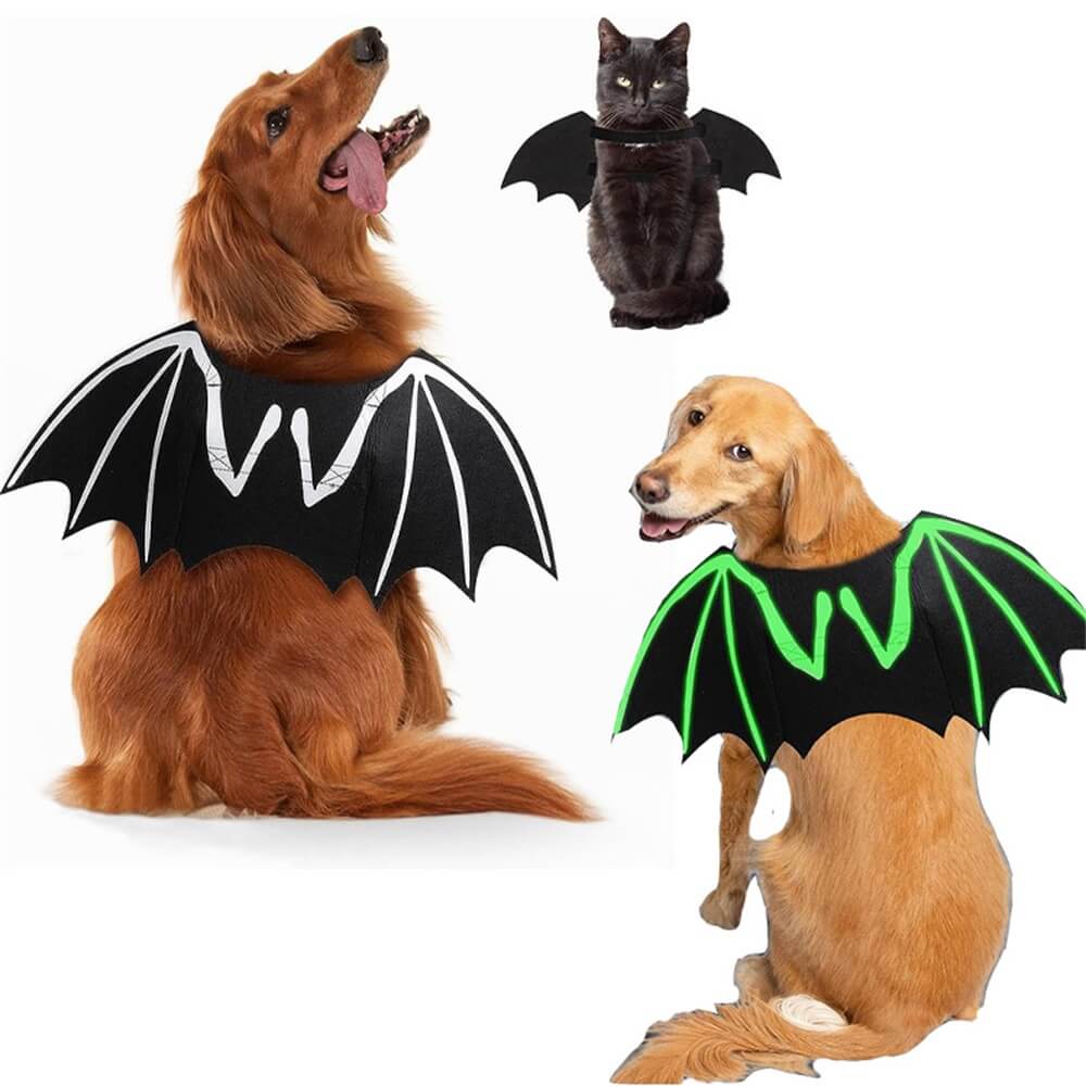 Fantasia de Halloween para cachorro com asas de morcego e caveira luminosa | Adereços para RPG de animais de estimação