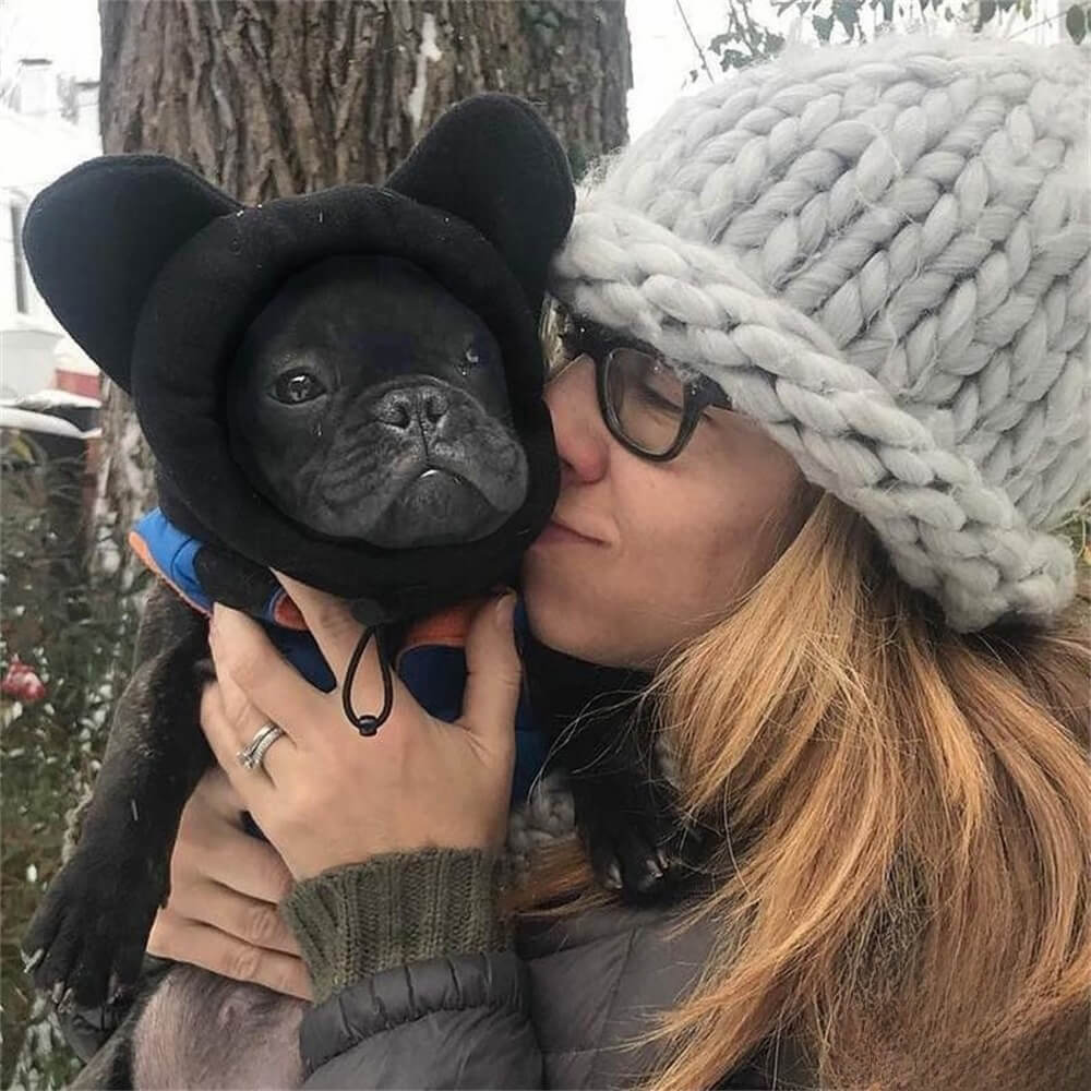 Capuz de lã para cachorro com orelhas de urso – chapéu de inverno divertido e aconchegante