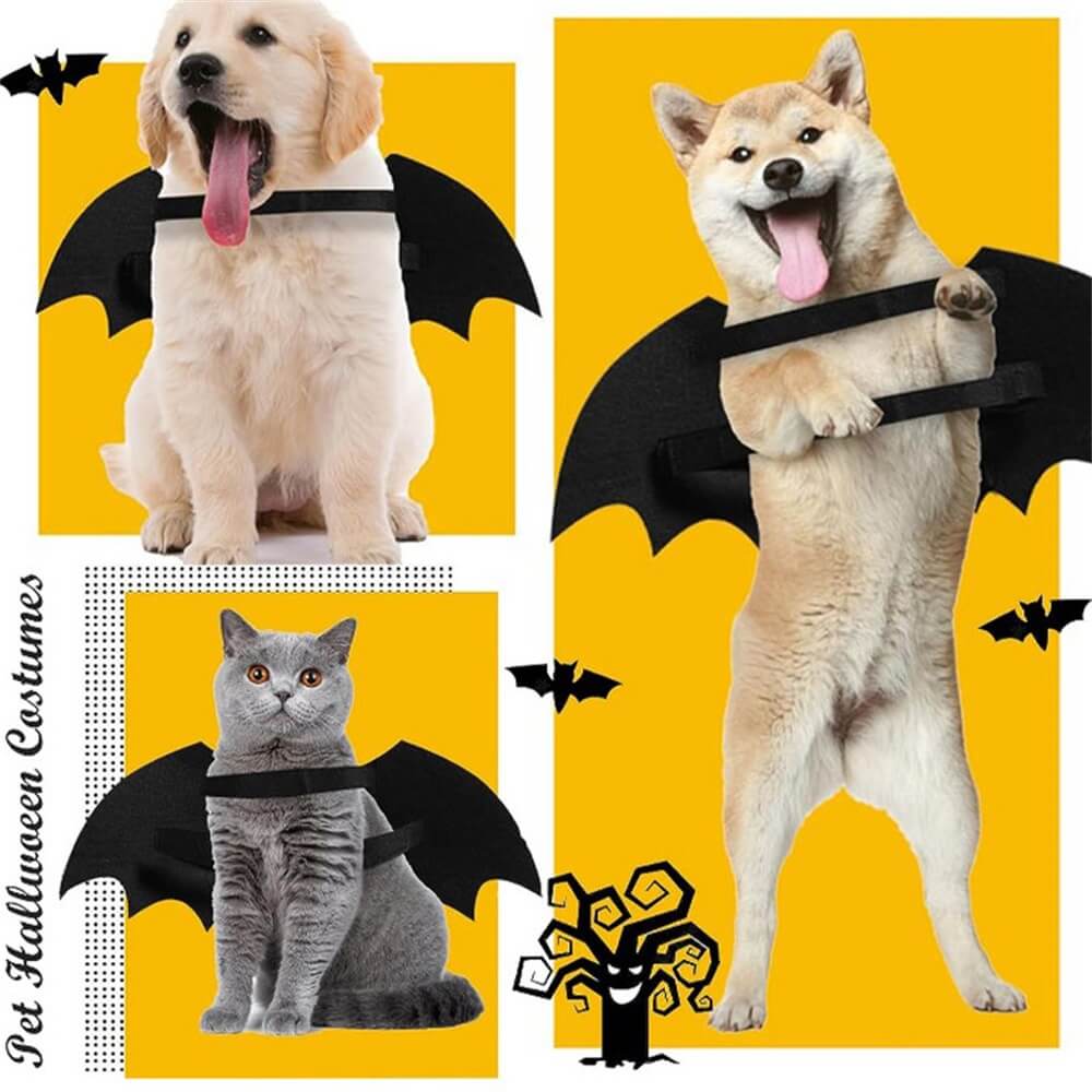 Fantasia de Halloween para cachorro com asas de morcego e caveira luminosa | Adereços para RPG de animais de estimação