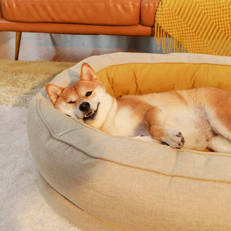 Cama para Cachorro - Donut