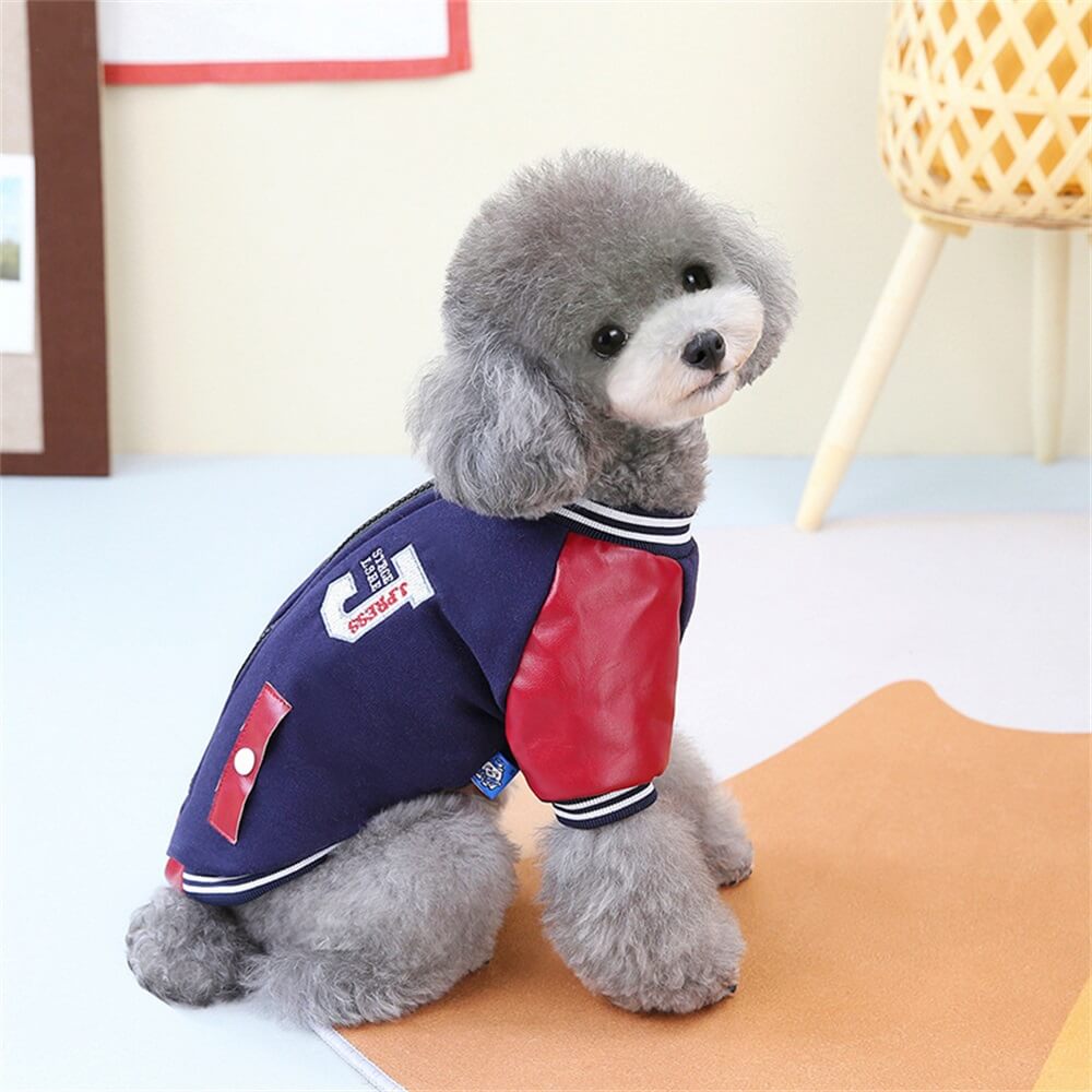 Jaqueta Trendy Dog Varsity - Estilosa e divertida para cães pequenos