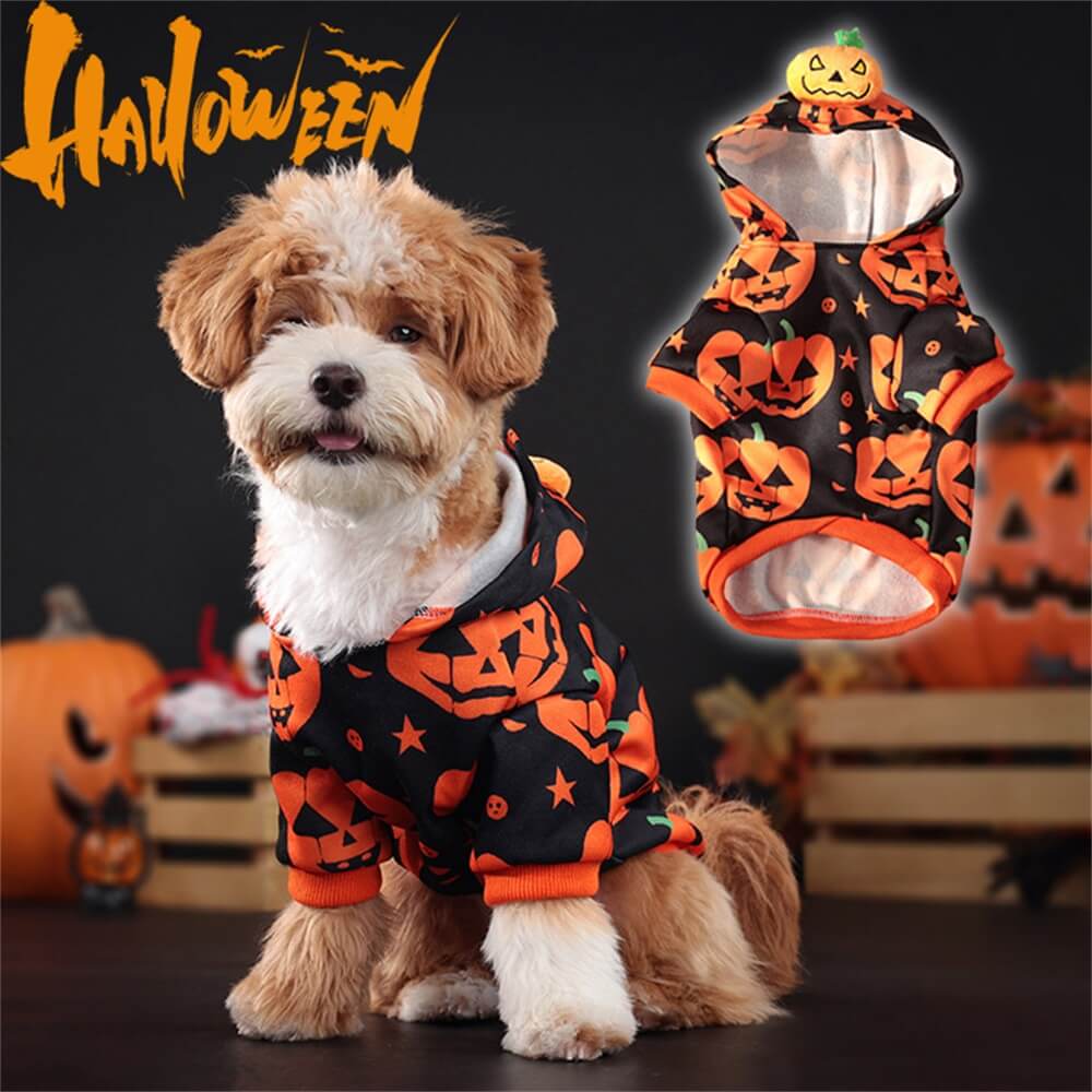 Moletom com capuz com estampa de abóbora de Halloween para animais de estimação