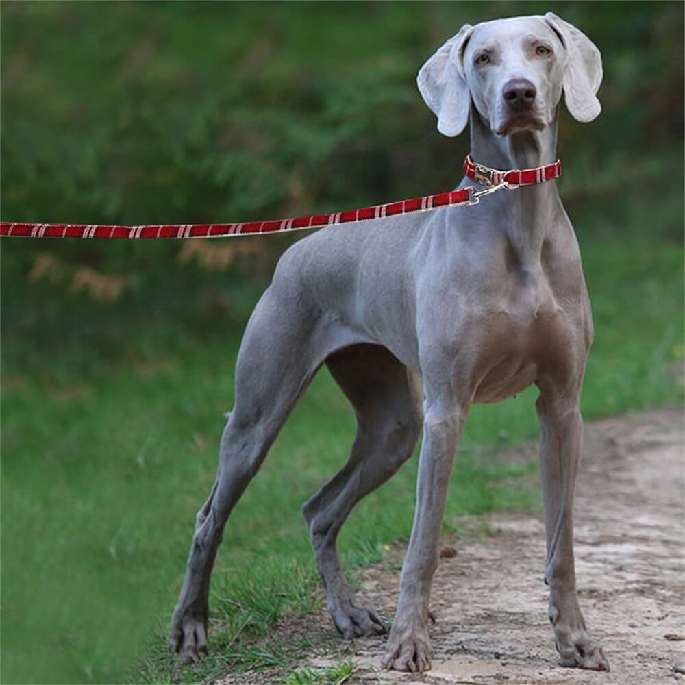 Coleira e guia de linho puro para cães - respirável e durável