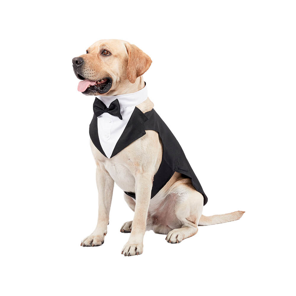 Roupas para cães de estimação, vestido de terno com gravata borboleta para casamento