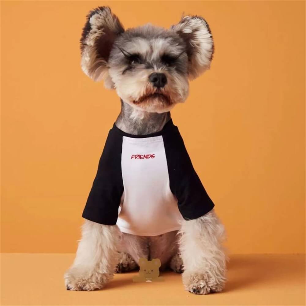 Roupas para cães de estimação bordadas moda camiseta combinando com cores