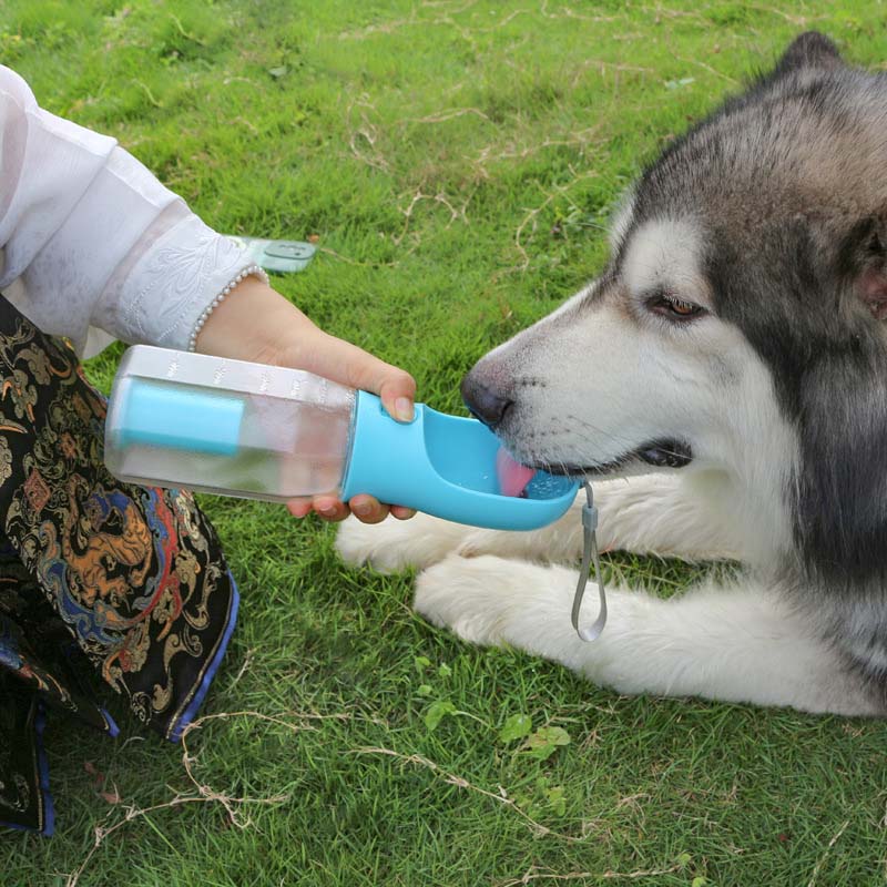 Garrafa de água portátil multifuncional 3 em 1 para passear com cães