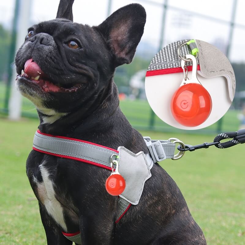 Peitoral Ajustável para Cães