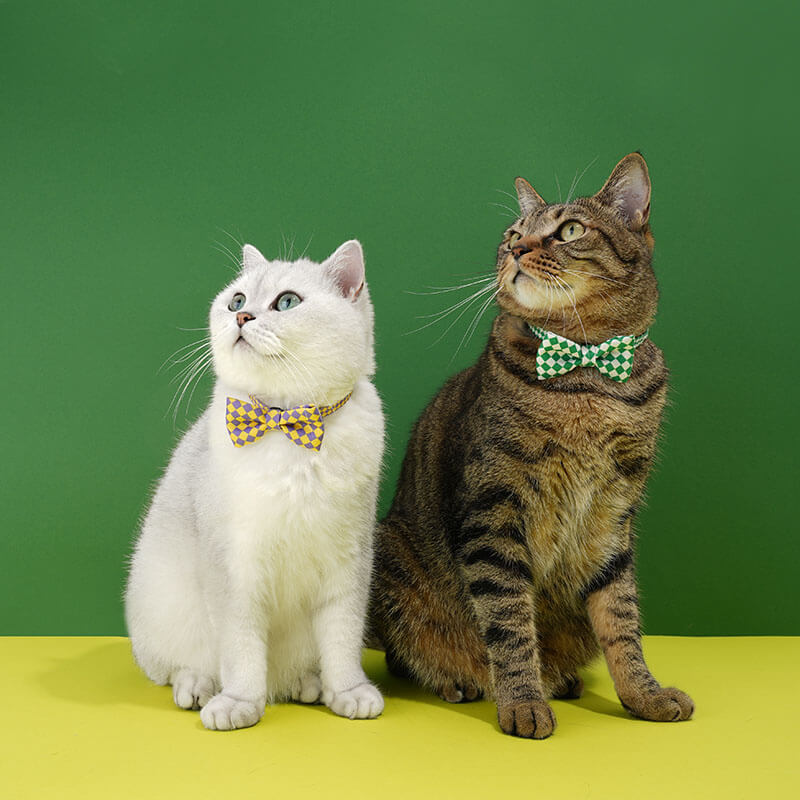 Coleira de túnel para gato com gravata borboleta engraçada série colorida