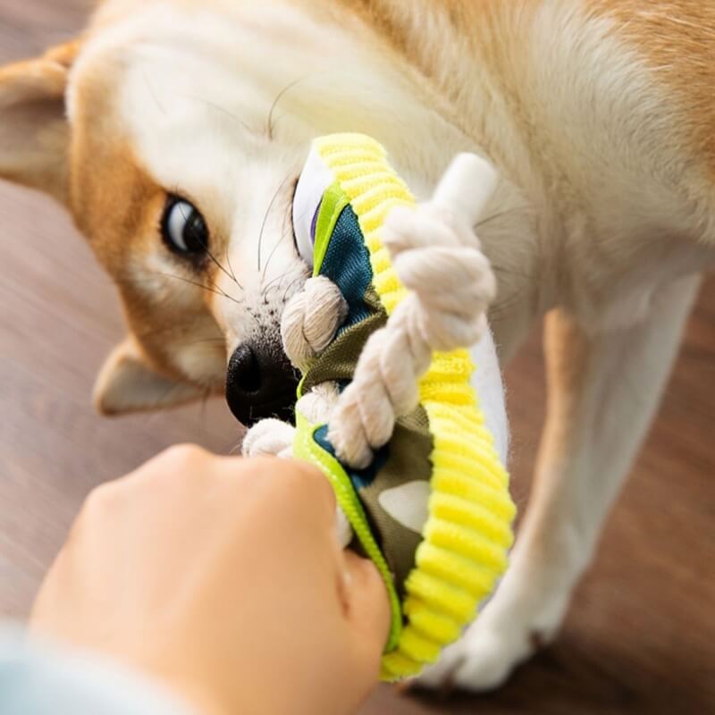 Brinquedo Mordedor de Cachorro em Forma de Tênis com Corda de Algodão