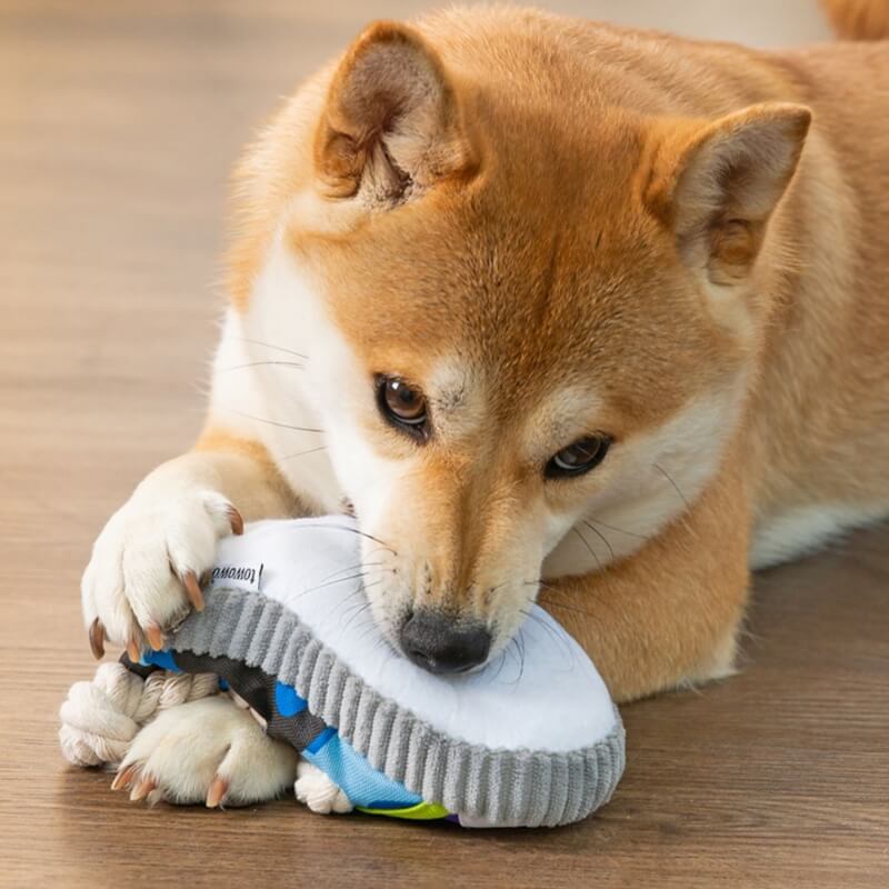 Brinquedo Mordedor de Cachorro em Forma de Tênis com Corda de Algodão