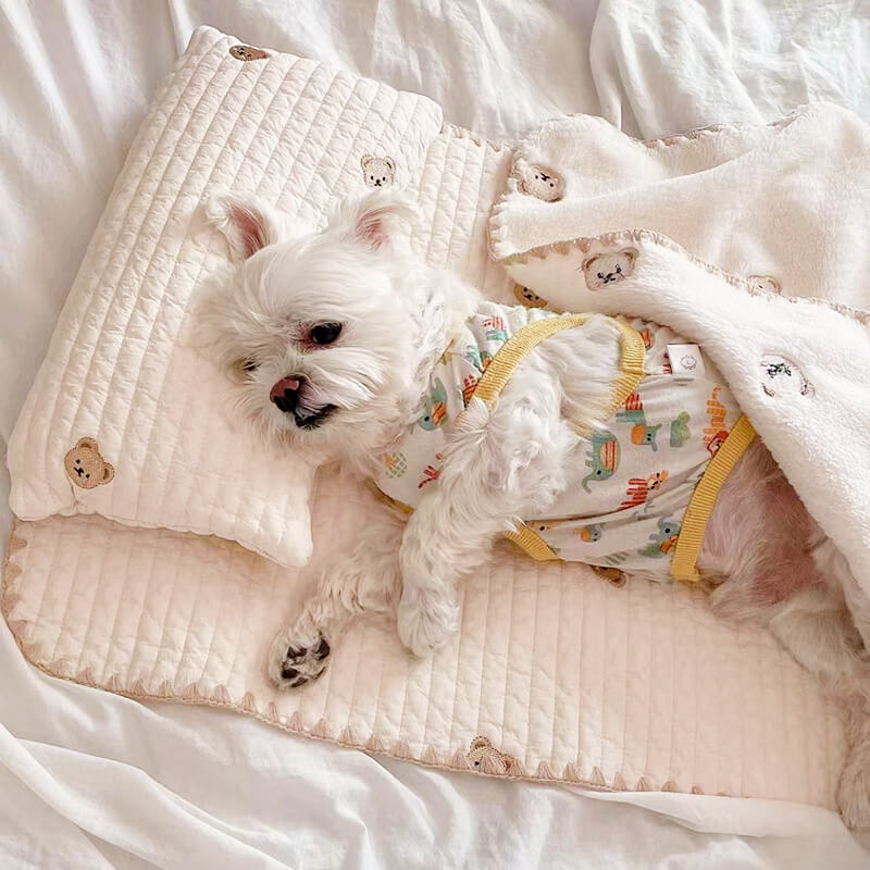 Conjunto de Cama Aconchegante com Travesseiro de Algodão Bordado para Animais de Estimação