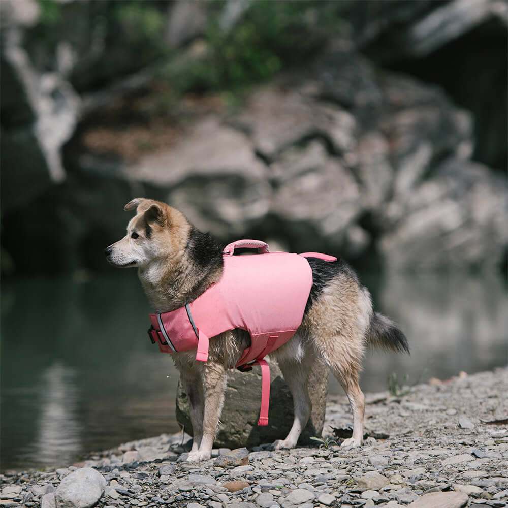 Colete salva-vidas para cães com casaco flutuante de caranguejo