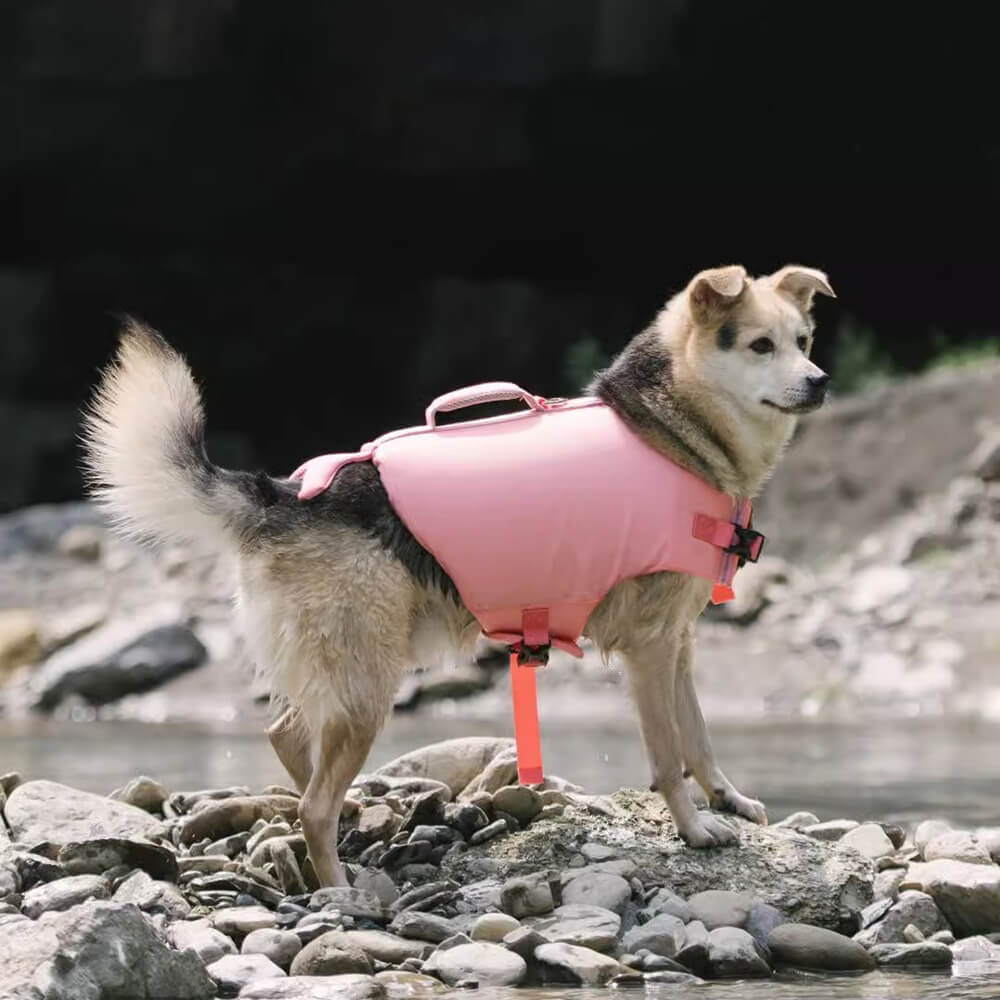 Colete salva-vidas para cães com casaco flutuante de caranguejo