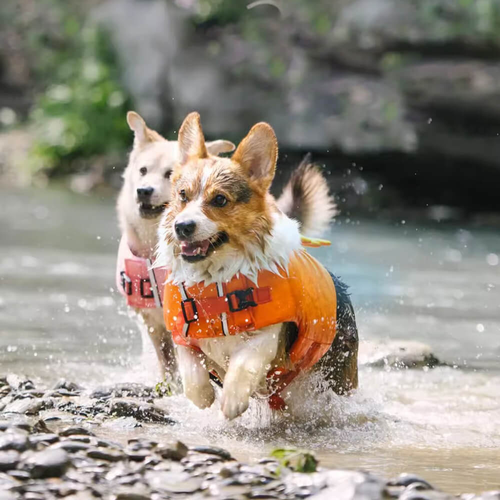 Colete salva-vidas para cães com casaco flutuante de caranguejo