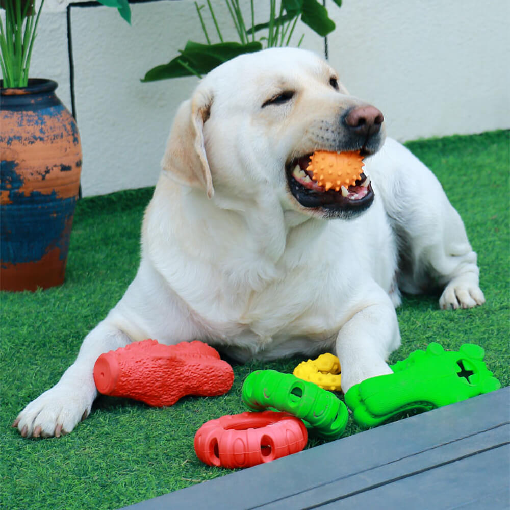 Brinquedo interativo para cães, brinquedo para mastigar e dentição