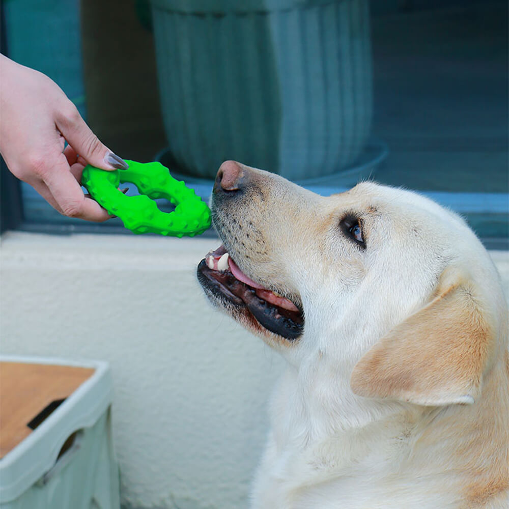 Brinquedo interativo para cães, brinquedo para mastigar e dentição