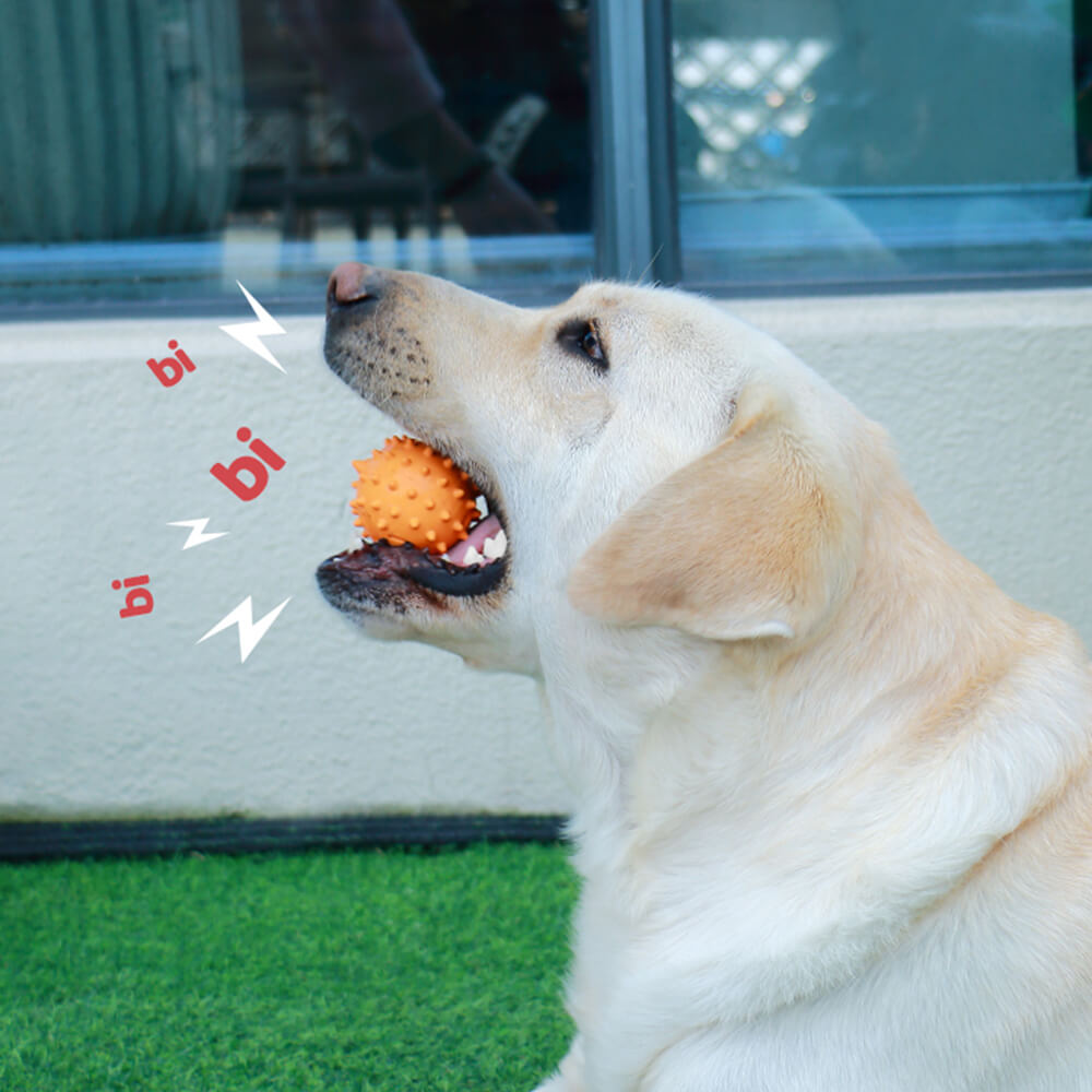 Brinquedo interativo para cães, brinquedo para mastigar e dentição