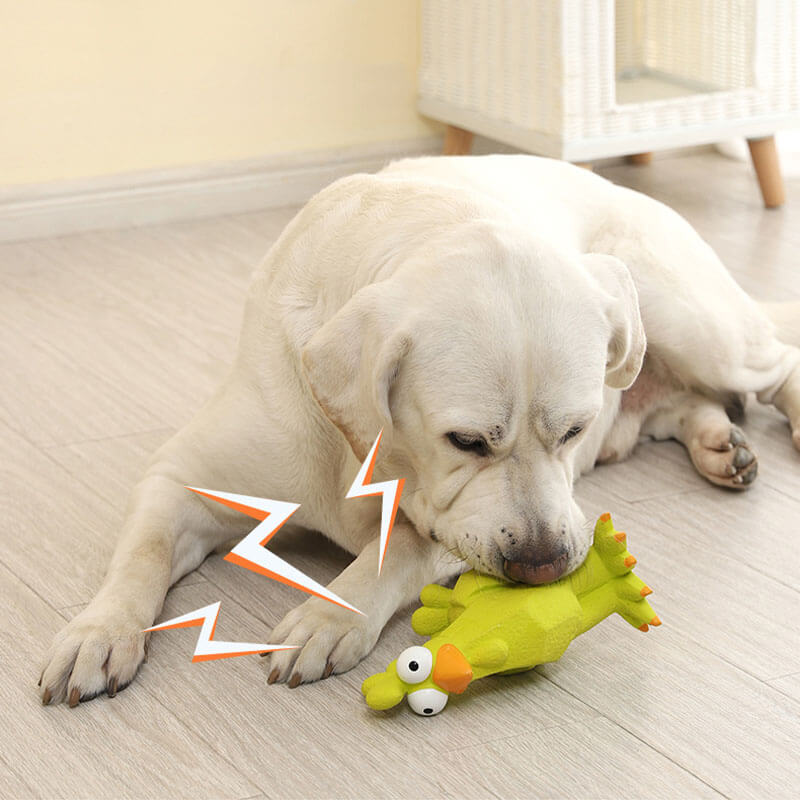 Brinquedo de Borracha com Apito Galo Engraçado Brinquedo de Morder para cachorro