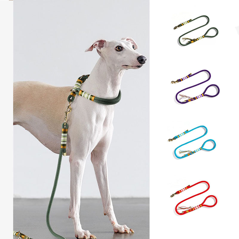 Corda trançada tricotada à mão, acessórios legais para cães, trela de treinamento