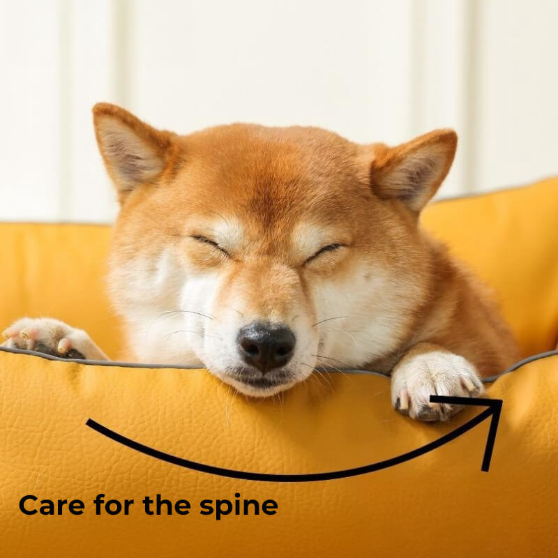 Cama ortopédica resistente a arranhões Leathaire para cães