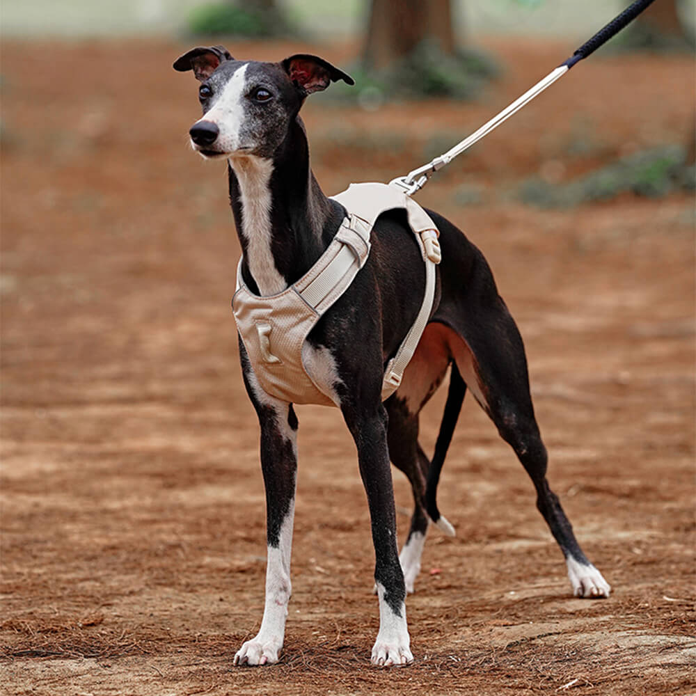 Peitoral Leve Impermeável e Respirável para Cães com Guia Anti-puxão Multifuncional