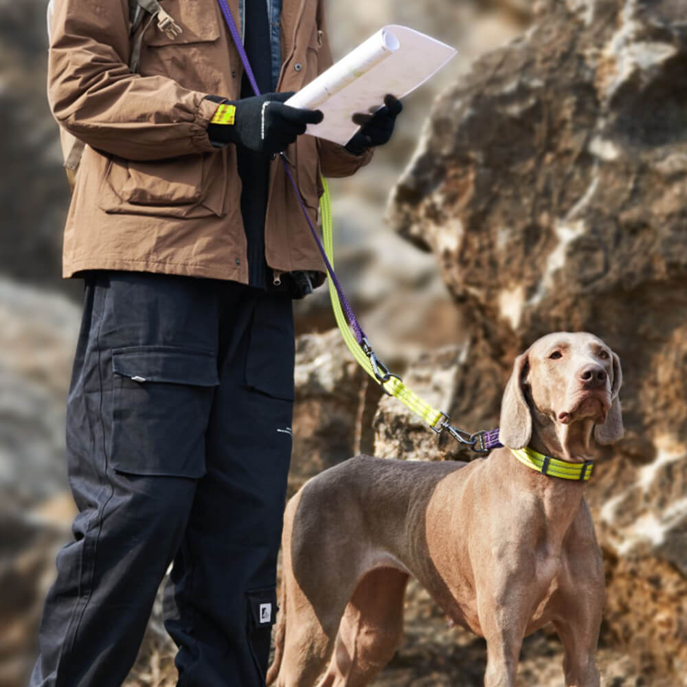 Trela ajustável multifuncional para cães, mãos livres e dupla extremidade