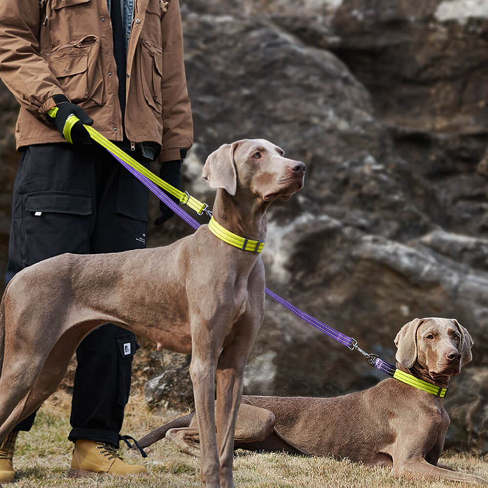 Trela ajustável multifuncional para cães, mãos livres e dupla extremidade