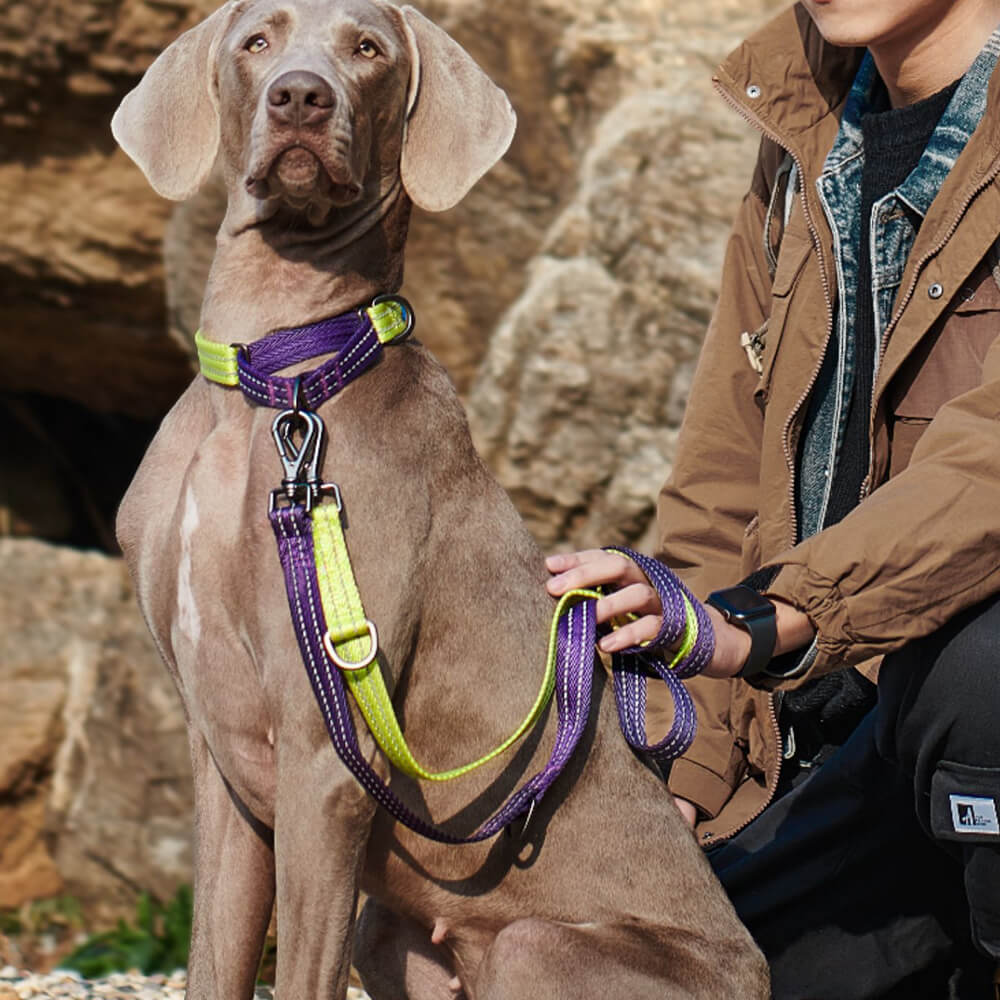 Trela ajustável multifuncional para cães, mãos livres e dupla extremidade