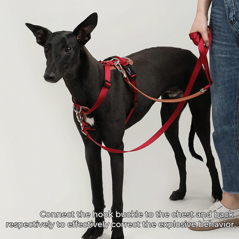 Conjunto Multifuncional de Peitoral Anti-puxão de Mãos Livres de Caminhada para Cães com Bolsa para Armazenamento