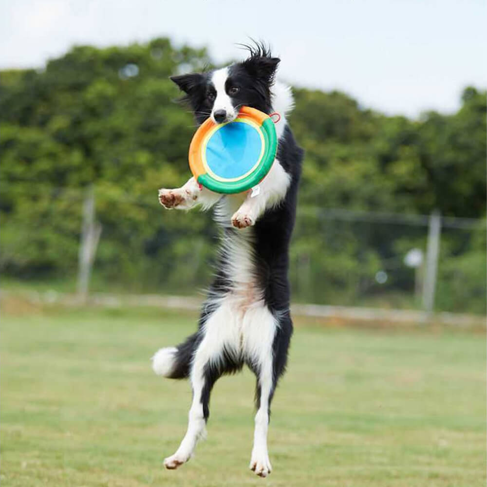 Brinquedo interativo para cães ao ar livre, durável, pano oxford, frisbee para cães