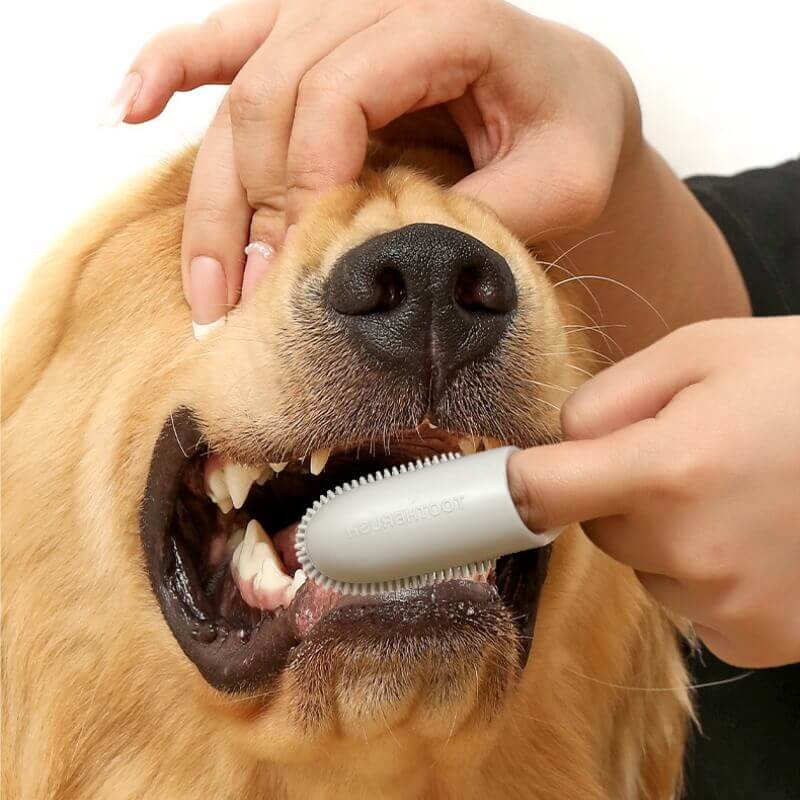 Escova de dentes para animais de estimação, escova de dentes para limpeza dos dentes