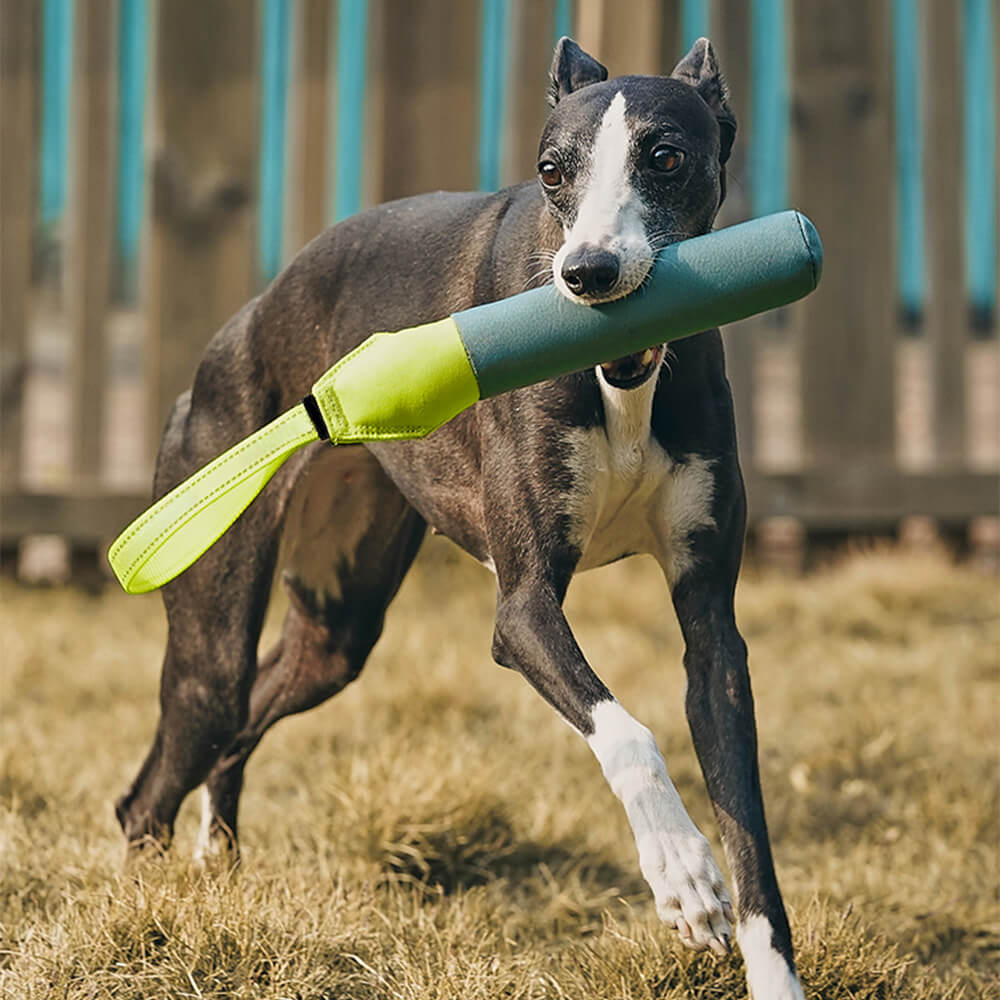 Brinquedo interativo ultradurável para cães flutuantes em água