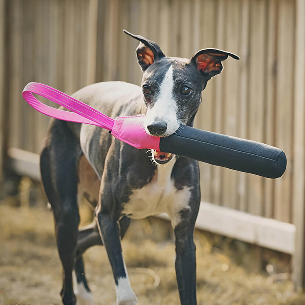 Brinquedo interativo ultradurável para cães flutuantes em água