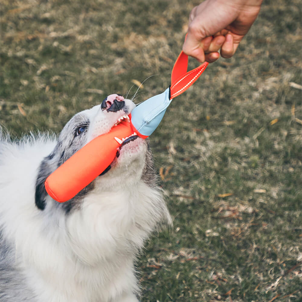 Brinquedo interativo ultradurável para cães flutuantes em água