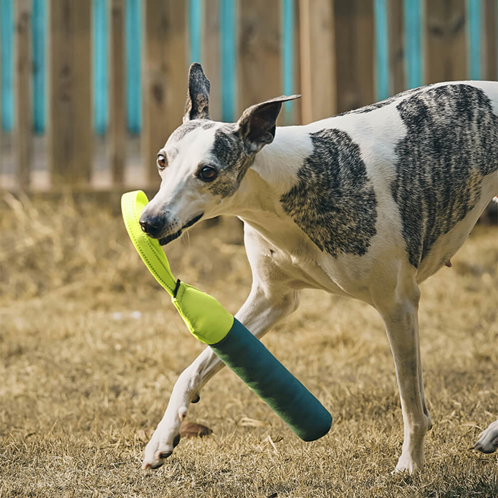 Brinquedo interativo ultradurável para cães flutuantes em água