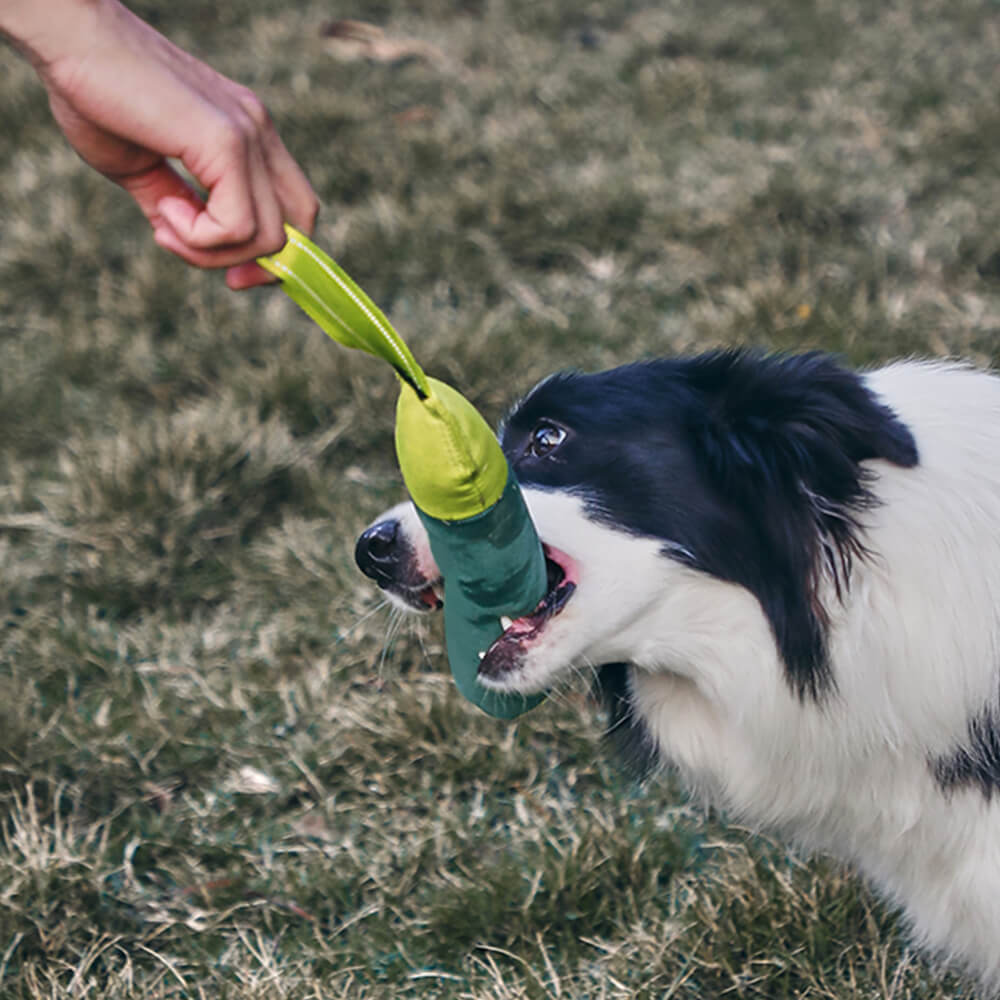 Brinquedo interativo ultradurável para cães flutuantes em água