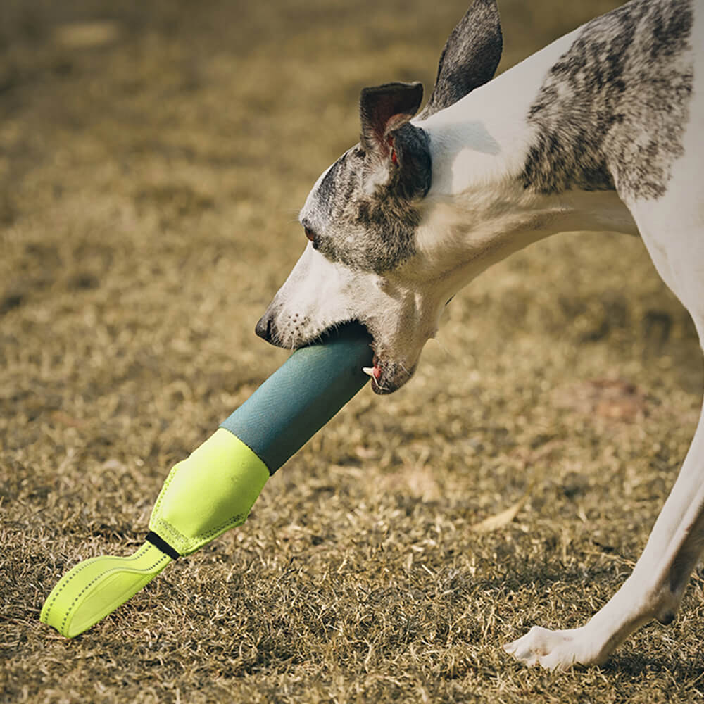 Brinquedo interativo ultradurável para cães flutuantes em água