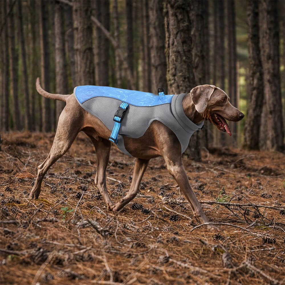 Roupas para cães de estimação à prova de calor onda ondulação respirável colete legal