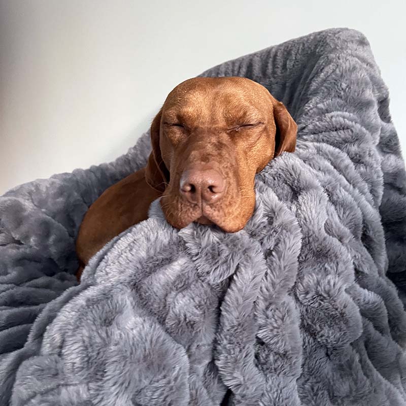 Cobertor de luxo para animais de estimação, super macio, pele sintética e veludo, cobertor humano