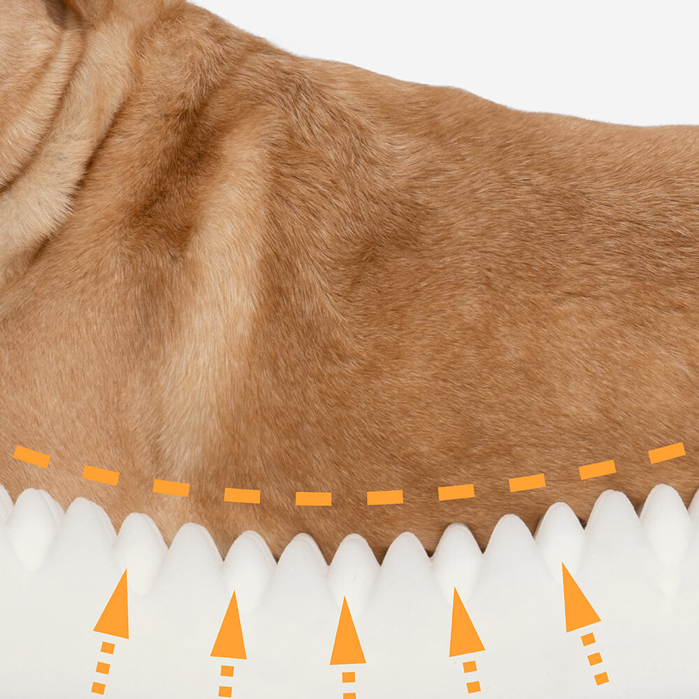 Cama ortopédica para cães com suporte total de lã sintética e camurça