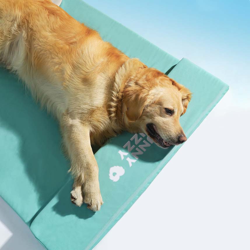 Cama Ortopédica Impermeável Para Cachorro - Oceano